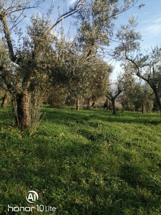 Appartamento Serenella Maenza Екстериор снимка